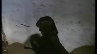 Rinnakas pervert brünett wanks tema kreemjas tuss hommikul.